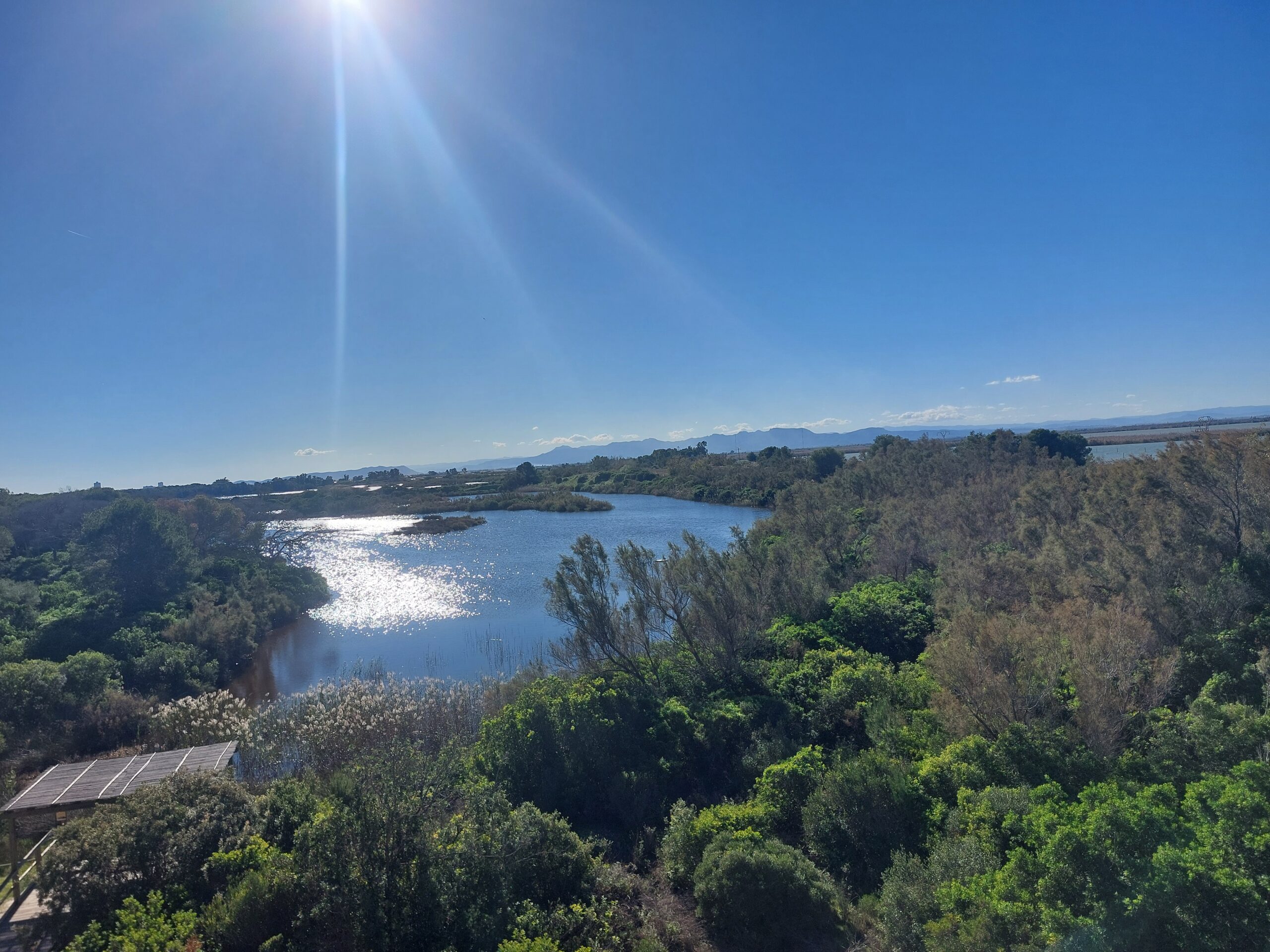 Albufera, Paella and Chocolate Day Trip
