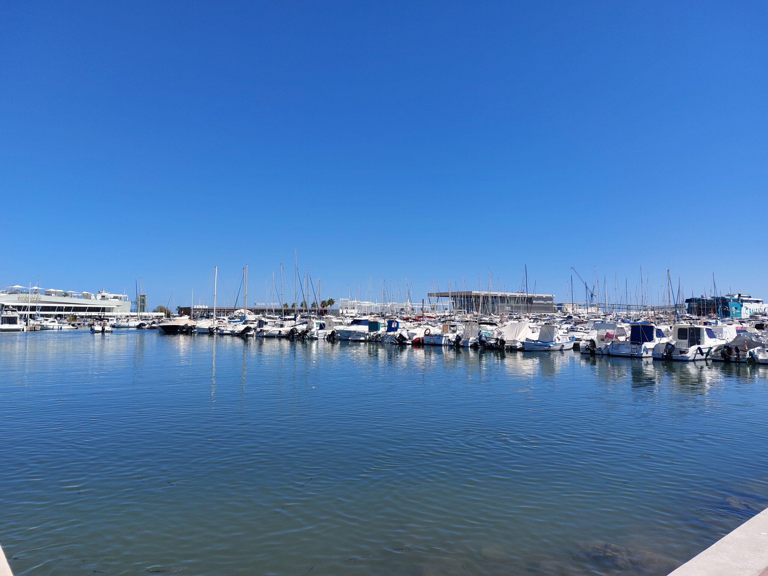 Albarda Gardens and Denia Day Trip